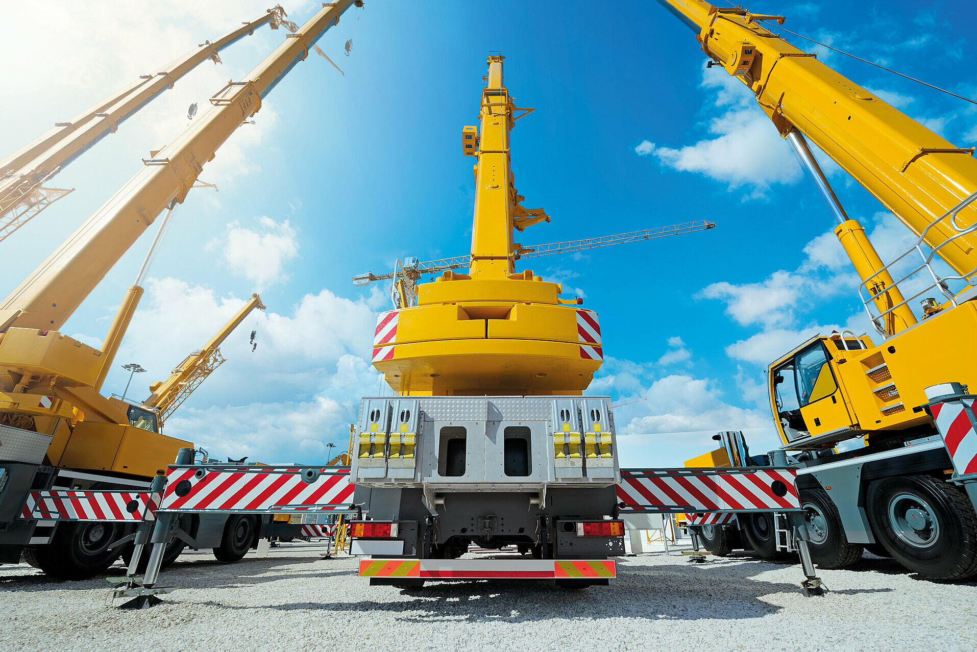 Rear view of three yellow mobile cranes