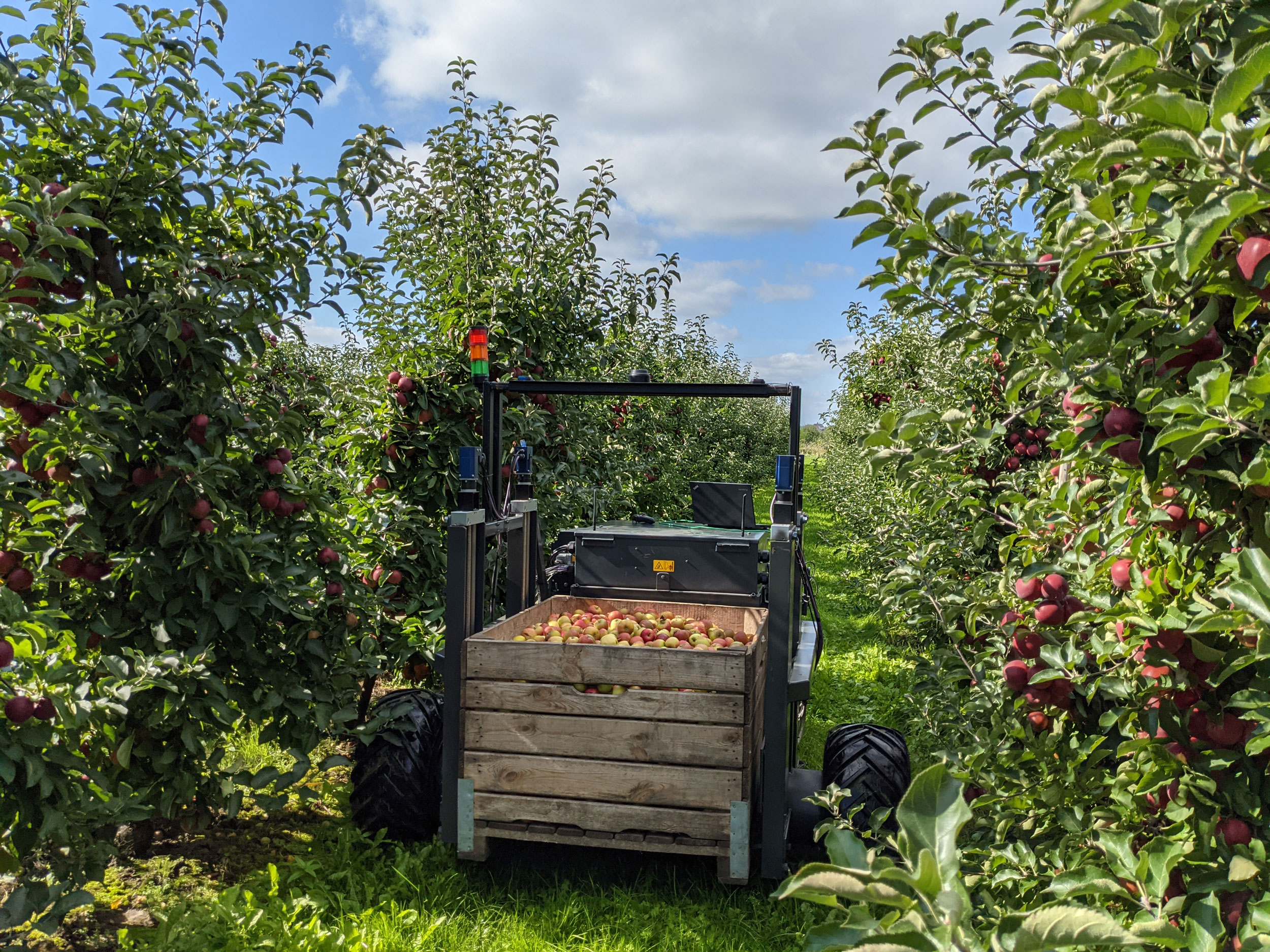 Robot de récolte AurOra avec une caisse de pommes pleine